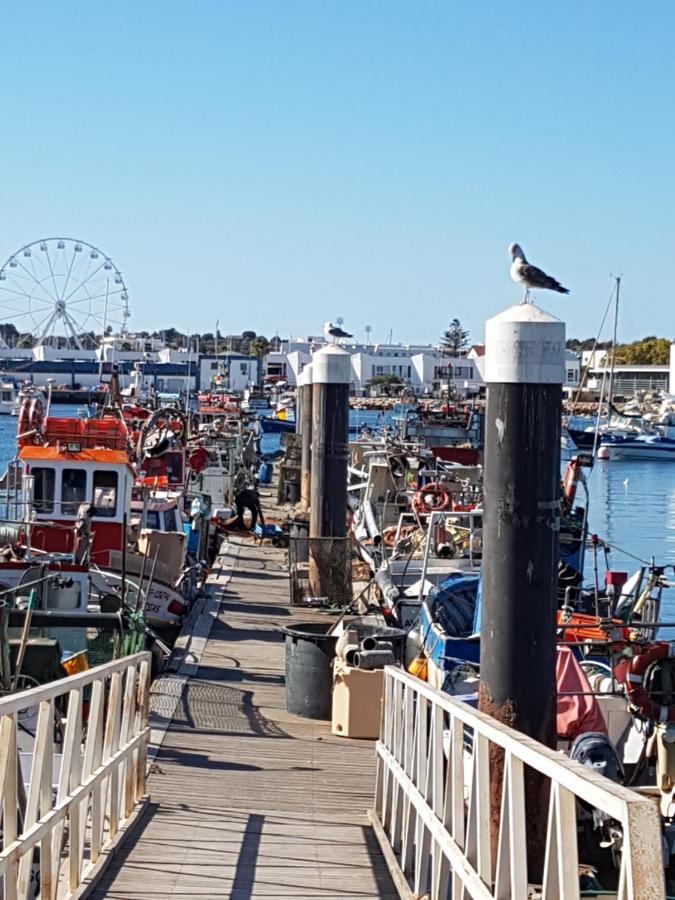 Amazing Marina Park *